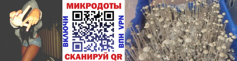 Псилоцибиновые грибы Psilocybine cubensis  Купить закладки  Анива 